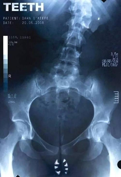 宾夕法尼亚州ID怎么买高仿